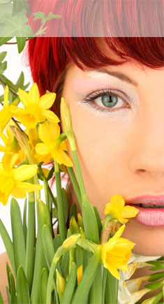 Servicing Melbourne, Victoria covering suburbs such as Kew, Hawthorn, Camberwell, St Kilda, South Yarra, Melbourne CBD, Carlton, Fitzroy, Moonee Ponds, Caulfield, Canterbury